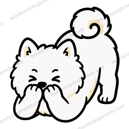 Samoyed sticker 4