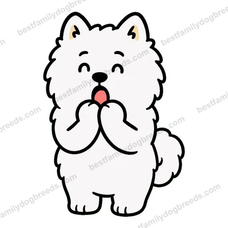 Samoyed sticker 6