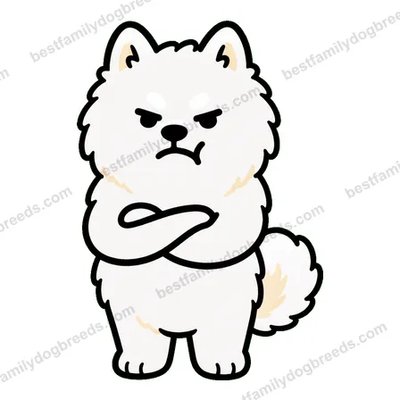 Samoyed sticker 7