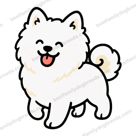 Samoyed sticker 10