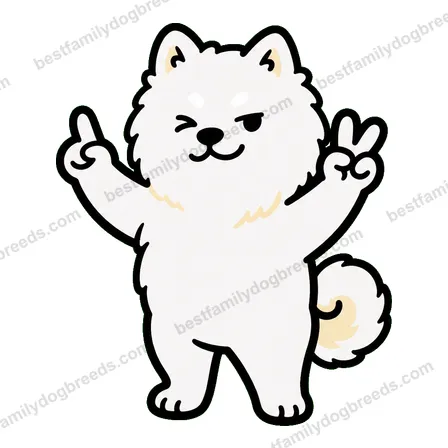 Samoyed sticker 12