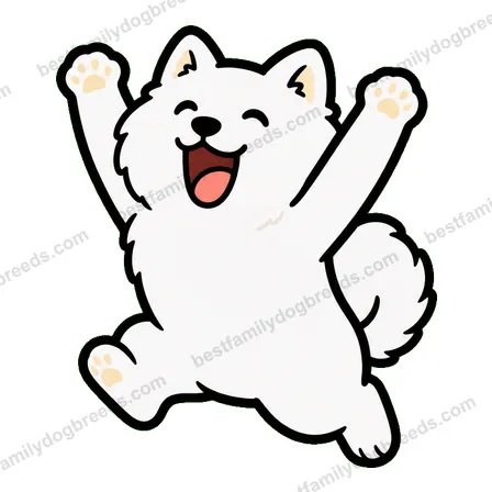 Samoyed sticker 13