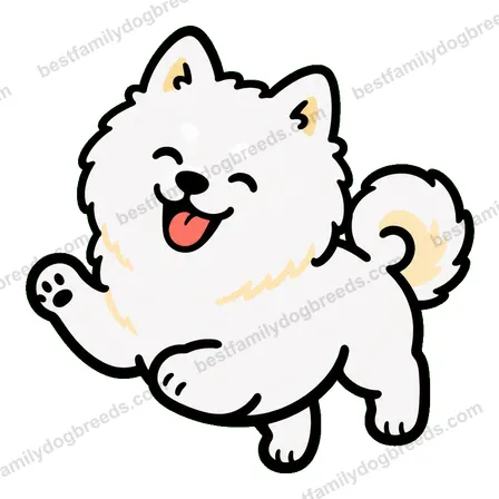 Samoyed sticker 14