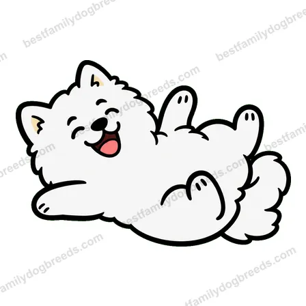 Samoyed dog meme sticker preview