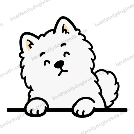 Samoyed sticker 17