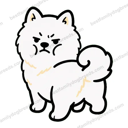 Samoyed dog meme sticker preview