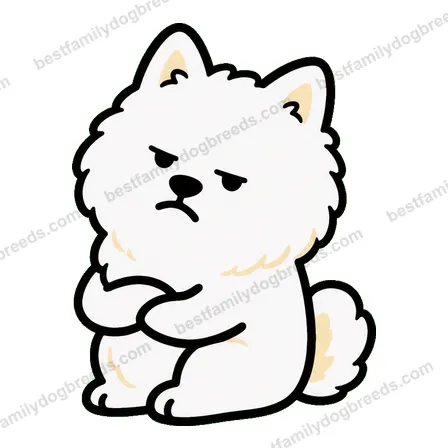 Samoyed sticker 19