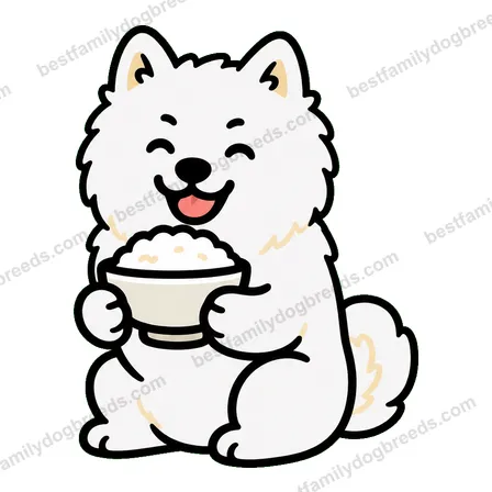 Samoyed sticker 21