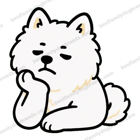 Samoyed sticker 26
