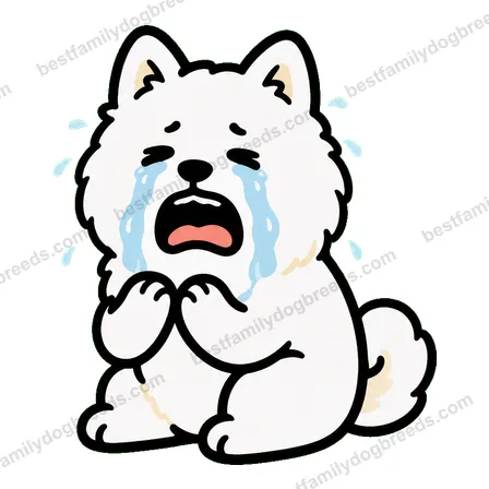 Samoyed dog meme sticker preview