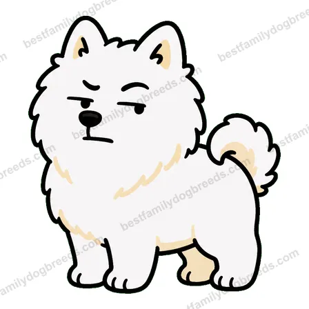 Samoyed sticker 33
