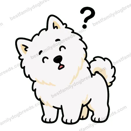 Samoyed dog meme sticker preview