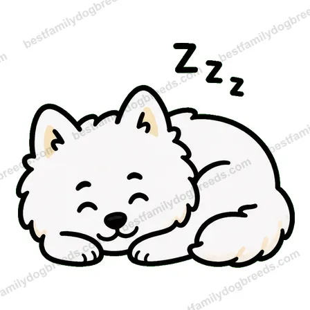 Samoyed dog meme sticker preview