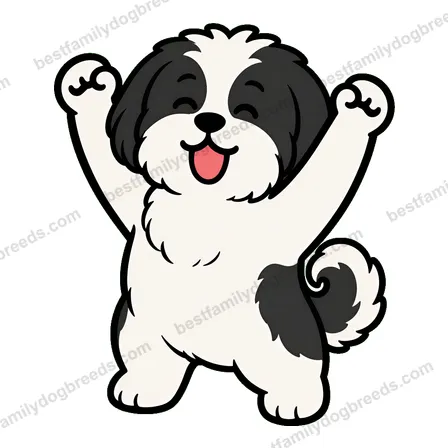 Shih Tzu sticker 2