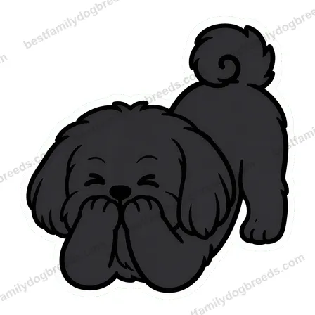 Shih Tzu cute dog meme sticker