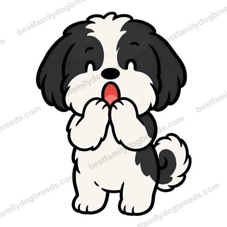 Shih Tzu surprised dog meme sticker
