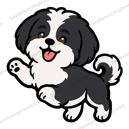 Shih Tzu sticker 14