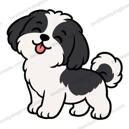 Shih Tzu sticker 25