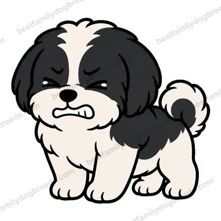 Shih Tzu dog meme sticker preview