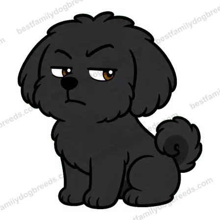 Shih Tzu sticker 33