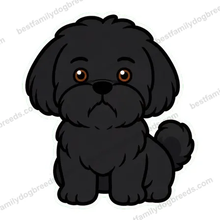 Shih Tzu dog staring meme sticker
