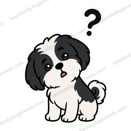 Shih Tzu confused dog meme sticker preview