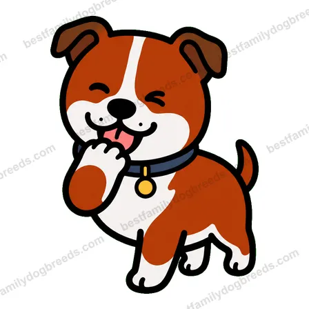 Staffordshire Bull Terrier sticker 16
