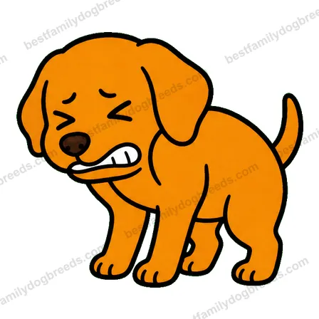 Vizsla dog meme sticker preview