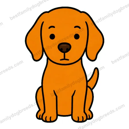 Vizsla dog staring meme sticker