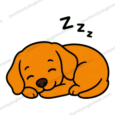 Vizsla dog meme sticker preview
