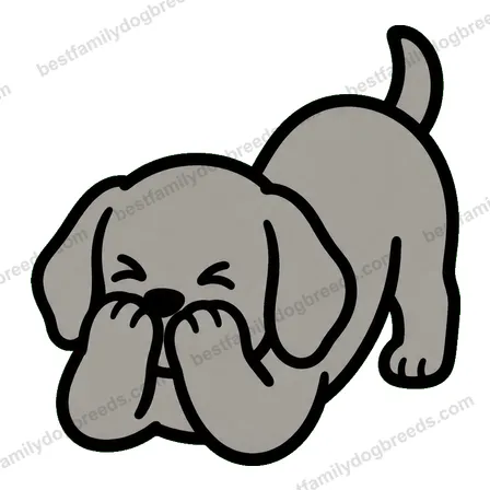 Weimaraner sticker 4
