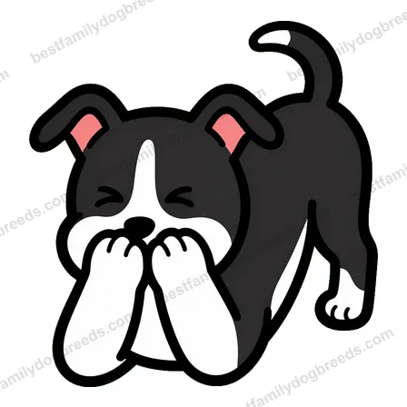 Whippet cute dog meme sticker