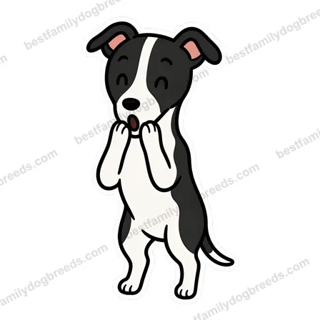 Whippet surprised dog meme sticker