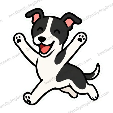 Whippet dog meme sticker preview