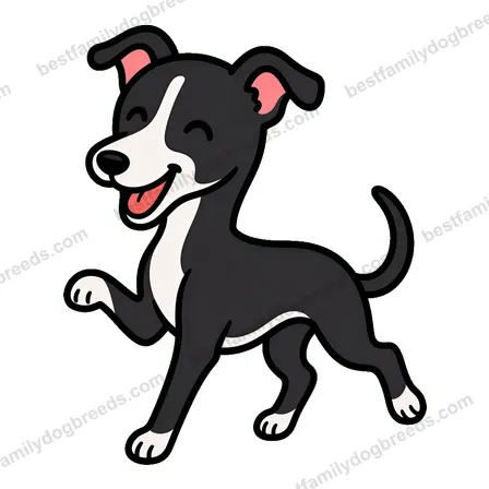 Whippet sticker 14