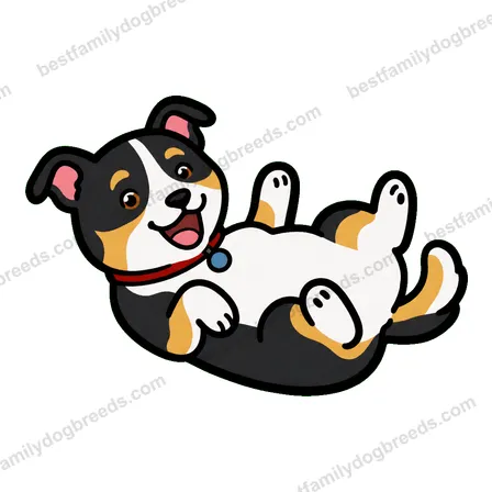 Whippet dog meme sticker preview