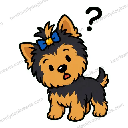 Yorkshire Terrier dog meme sticker preview